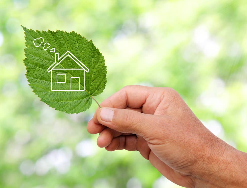 Get Ready for Spring and Go Green with these HVAC Tips!